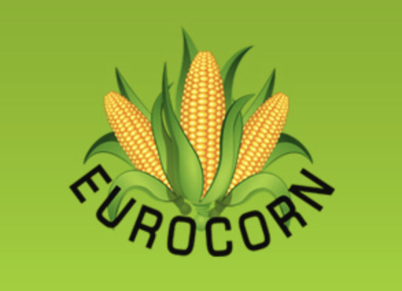 Снимок экрана 2025 08 22 в 17.26.31